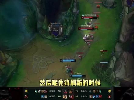 包括资金 包括资金